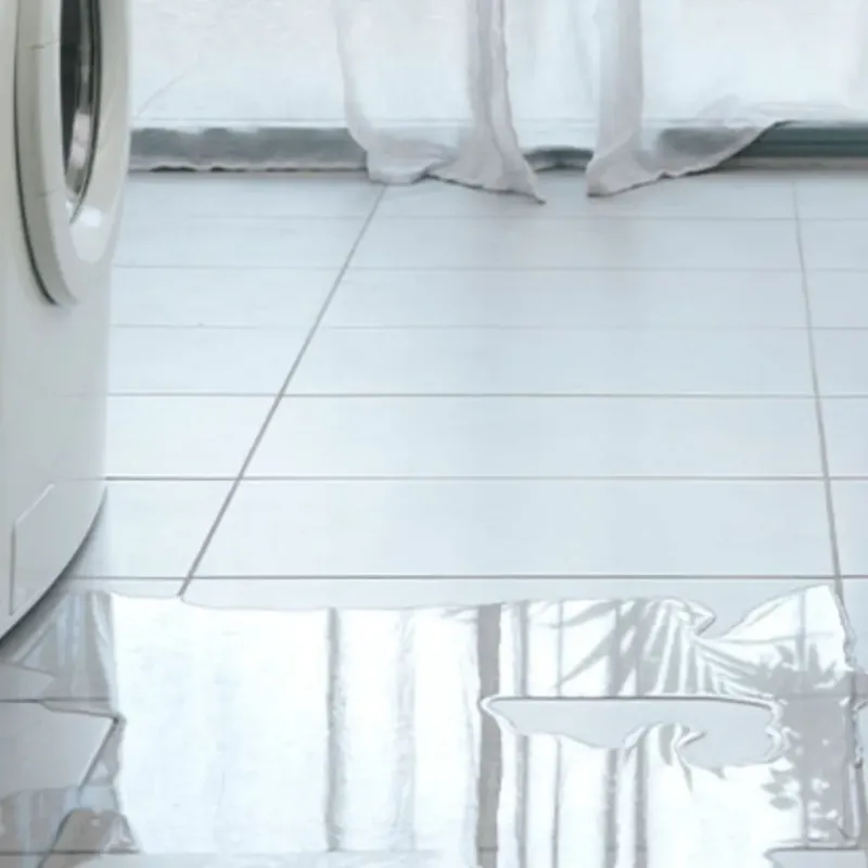 Appliance Leak Cleanup in Nueces County, TX