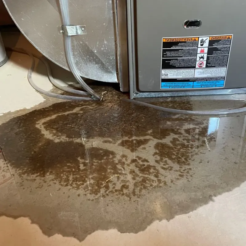 Pipe Burst and Leak Restoration in Nueces County, TX